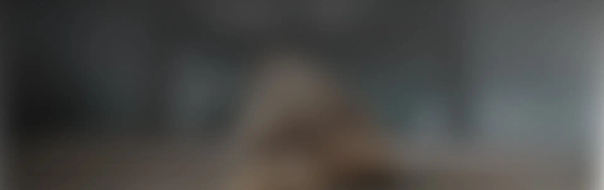 banner-bg