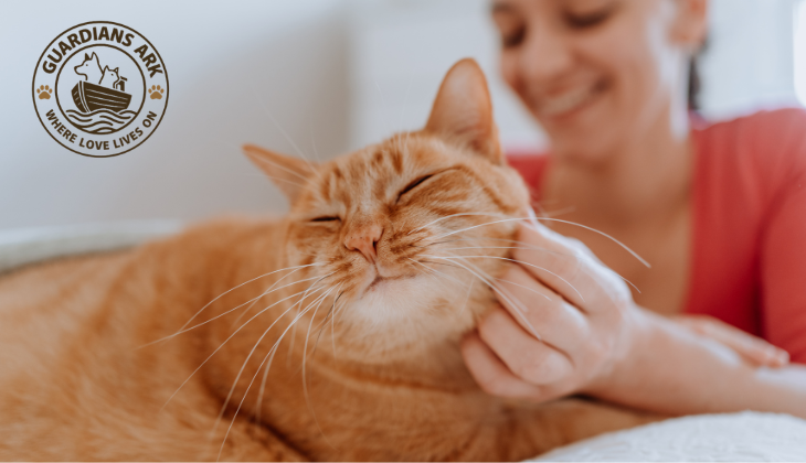 Because Forever Means Forever: Why Pets Deserve Lifelong Care