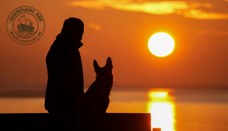 How to Include Your Pet in Your Will (Without the Confusion)